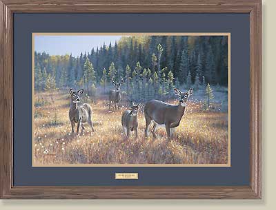 Bog Trek-Whitetail Deer by Jim Kasper